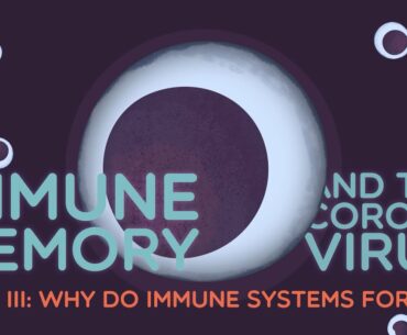 Immune Memory & the Coronavirus Part III: Why do immune systems forget?