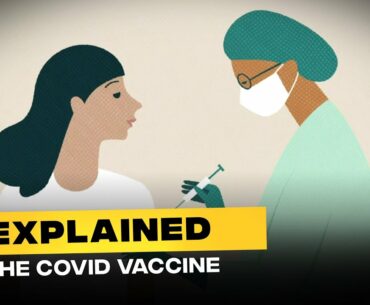Explained: How does the coronavirus vaccine work?