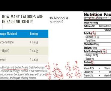 Nutrition   Chap 01d   Six Classes of Nutrients Part1 20200824