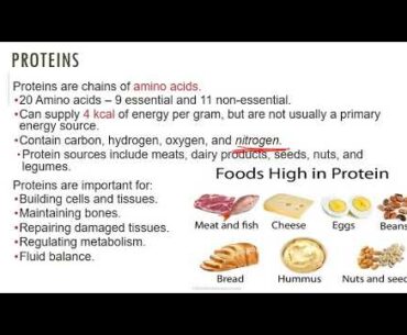 Nutrition   Chap 01e   Six Classes of Nutrients Part2 20200824