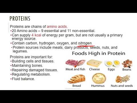 Nutrition   Chap 01e   Six Classes of Nutrients Part2 20200824