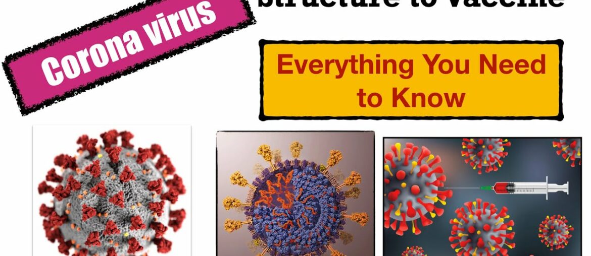 Corona Virus Structure, Replication, PCR, Tests, Immune System, Vaccine, Science Education