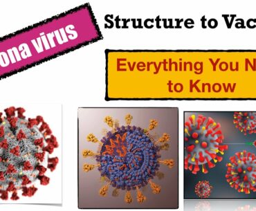 Corona Virus Structure, Replication, PCR, Tests, Immune System, Vaccine, Science Education