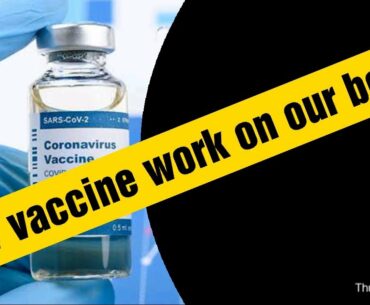 How vaccine works | How immune system works | #covaxin #corona #covid19 #immunity