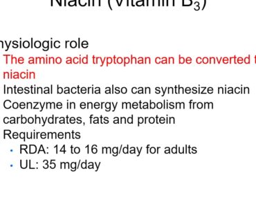 DH209 Nutrition Chapter 11 ppt  online