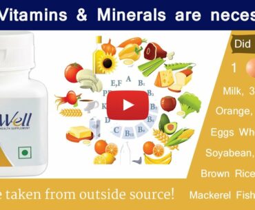 Importance of Vitamins & Minerals | Well Multivitamin Multimineral