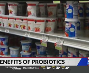 Hormone specialist explains benefits to probiotics