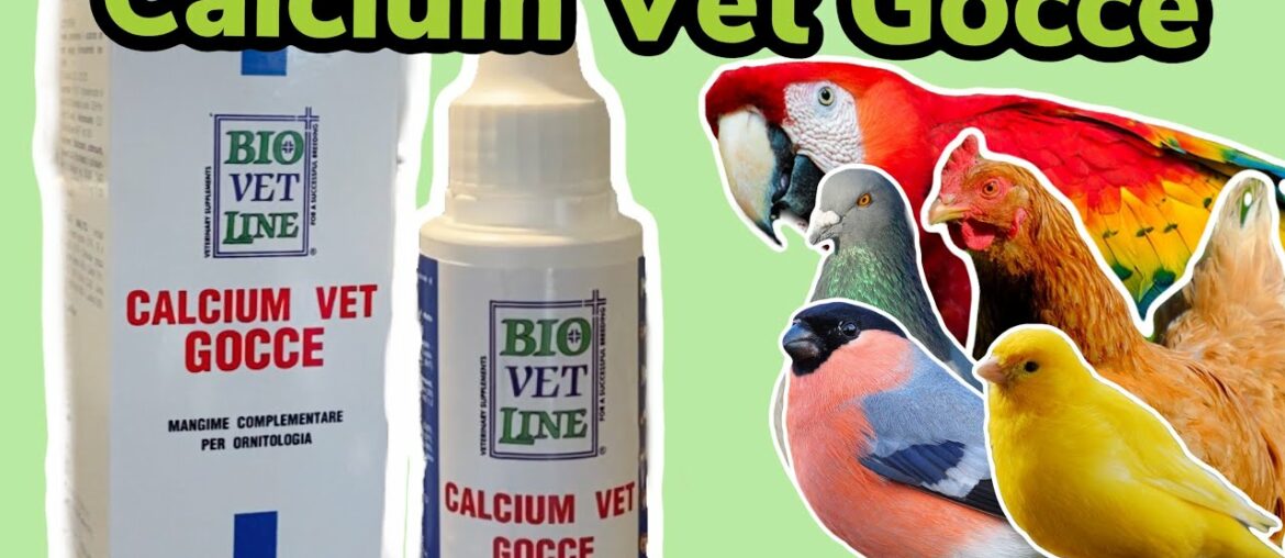 #Ad - BioVetLine Calcium Vet Gocce | Calcium Supplement for Birds