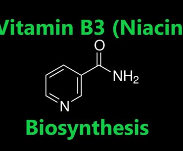 Nutrition 22 | Water Soluble Vitamins 4 - Niacin (Vitamin B3) Biosynthesis