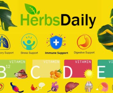 Daily Herbs | All Herbs | Herbal Daily | Herbal Products | Vitamin & Supplement | Pet & Beauty Care