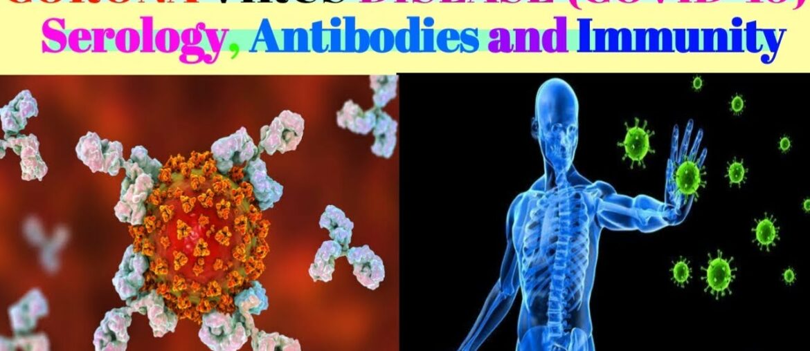 Covid 19 :- Serology Antibodies And Immunity ||Abhishek yadav||