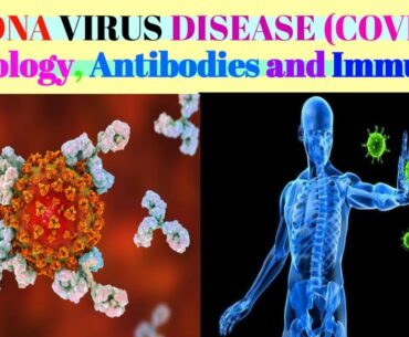 Covid 19 :- Serology Antibodies And Immunity ||Abhishek yadav||