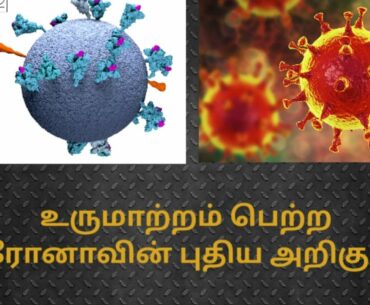 Symptoms of New Corona Virus Variant  |  Snegithi Tamil Health Tips