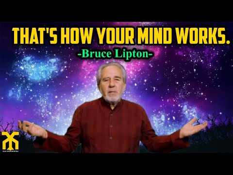 That's How Your Mind Works|Bruce Lipton.