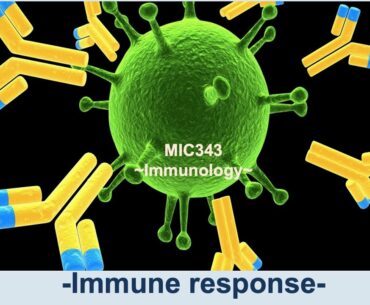 Chapter 5  Immune Response Part 2