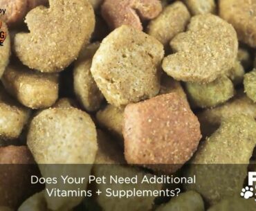 For Pet's Sake: Vitamins for your furry friends