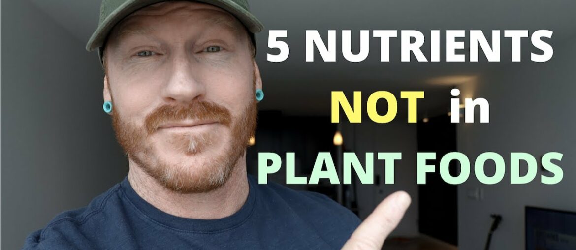 5 (IMPORTANT) Nutrients NOT found in PLANT FOODS / the Vegan Diet