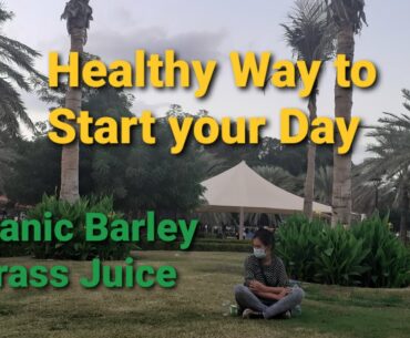 Organic Barley Grass / Healthy Juice