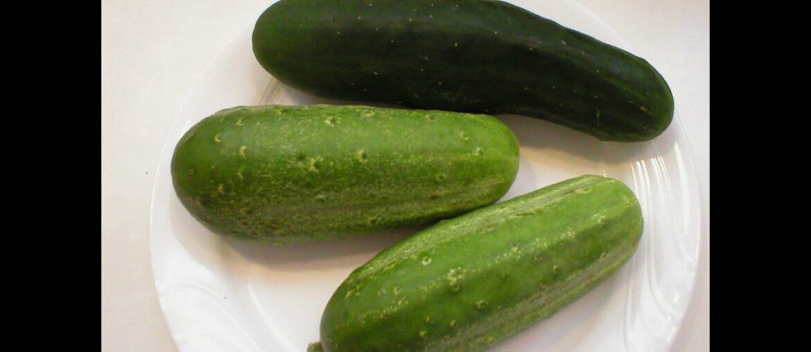 Cucumbers 10-Nutrition and Health Benefits