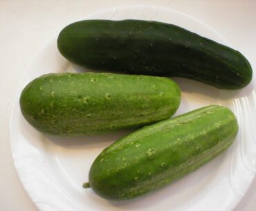 Cucumbers 10-Nutrition and Health Benefits