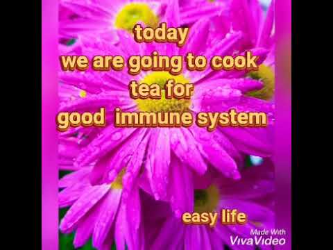 Ginger tea recipe for immune system/Immunity booster tea recipe/Simple ginger tea with fennel seeds