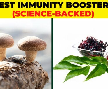 10 SUPPLEMENTS TO BOOST YOUR IMMUNE SYSTEM | Boosting Your IMMUNE SYSTEM With Supplements