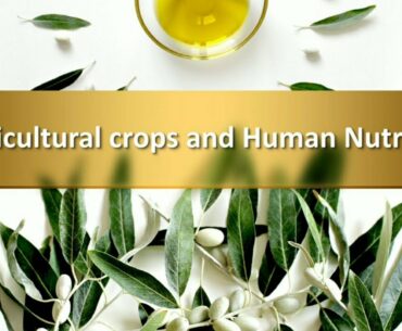 Horticultural Crops and Human Nutrition | Importance of fruits and vegetables in diet