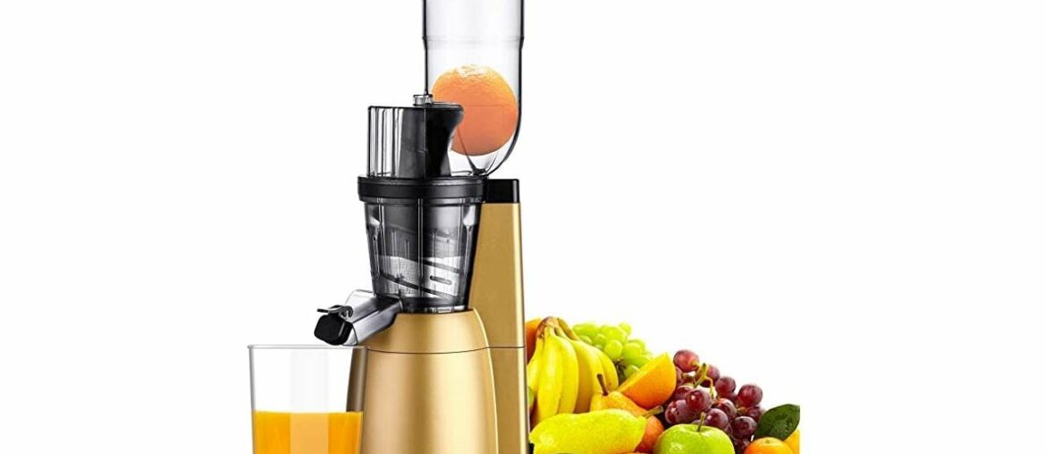 Slow Masticating Juicer, ROVKA High Nutrient and Vitamins Juice Extractor, 3.15 Inches Wide Chute C