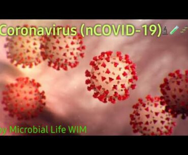 Coronavirus | #Coronavirus #Microbiology #Microbiallifewim