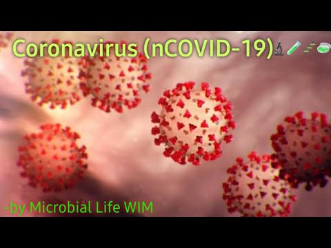 Coronavirus | #Coronavirus #Microbiology #Microbiallifewim