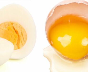 Eat one piece egg everyday see what happens to you! Nutrition Crew
