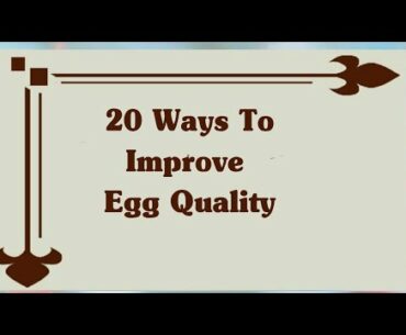 20 Ways To Improve Egg Quality Control | Best Fertility Supplements For Egg Quality |Bad Egg Quality