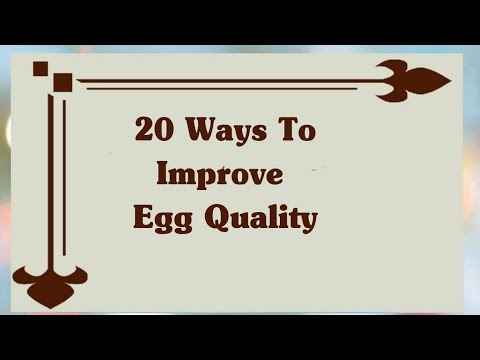 20 Ways To Improve Egg Quality Control | Best Fertility Supplements For Egg Quality |Bad Egg Quality