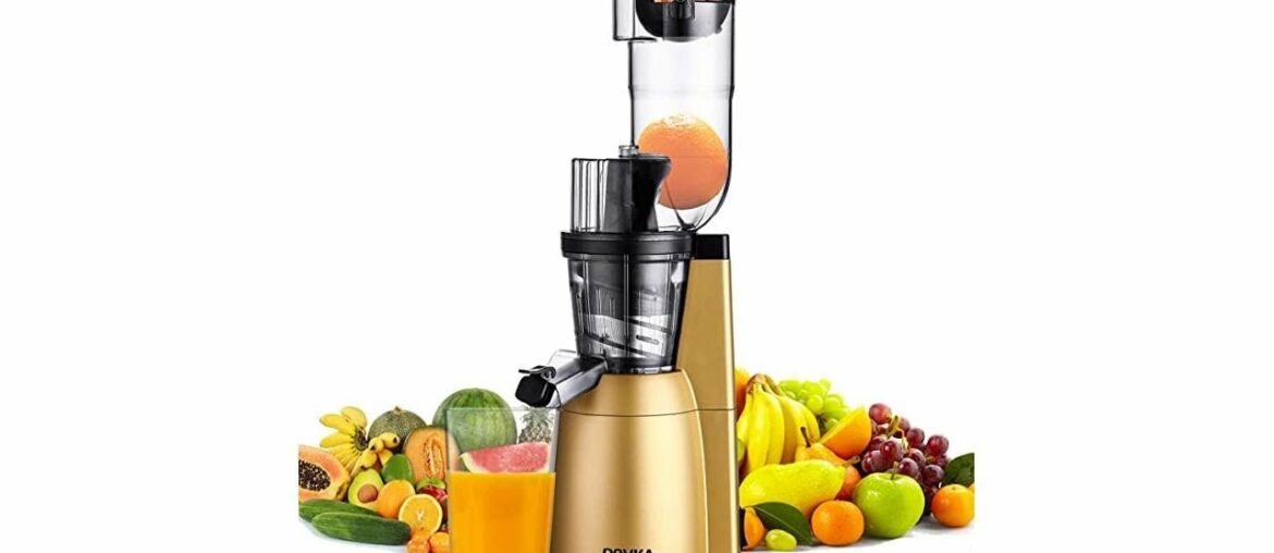 Slow Masticating Juicer, ROVKA High Vitamins and Nutrient Juice Extractor, 3.15 Inches Wide Chute C