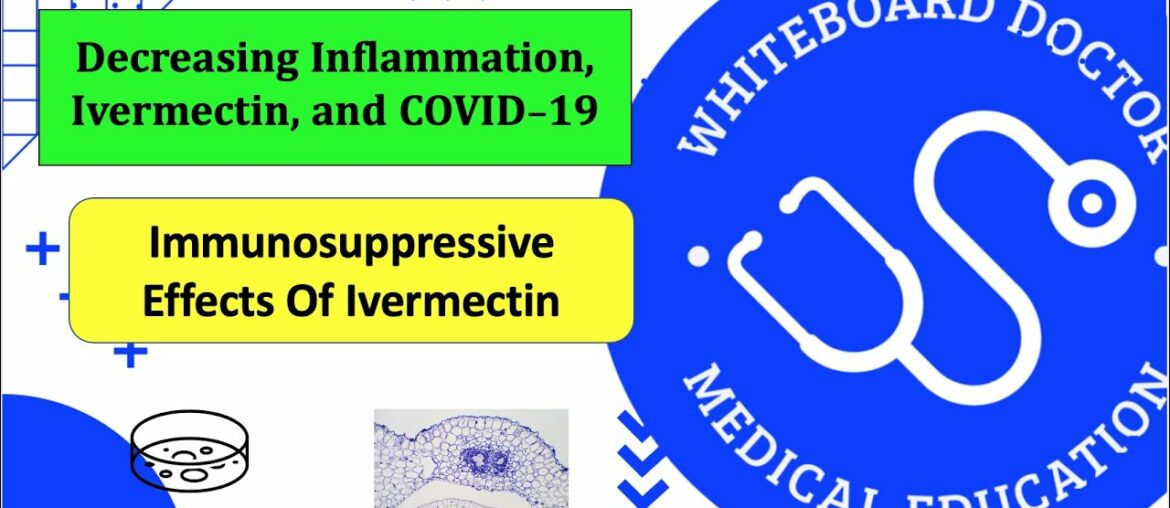 Ivermectin And Decreased Inflammation In COVID-19 [Immunosuppression In Inflammatory Phase COVID-19]