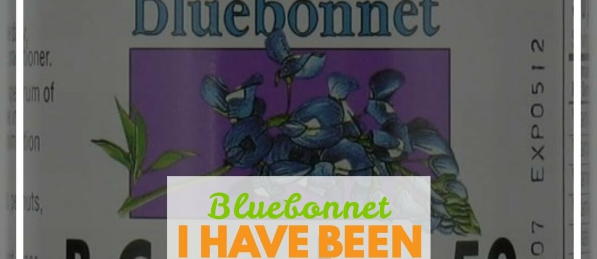 Bluebonnet Nutrition B Complex 100 Vegetable Capsules, Complete Full Spectrum, Vitamin B6, B12,...