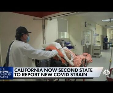 California reports new Covid-19 strain found in U.K.