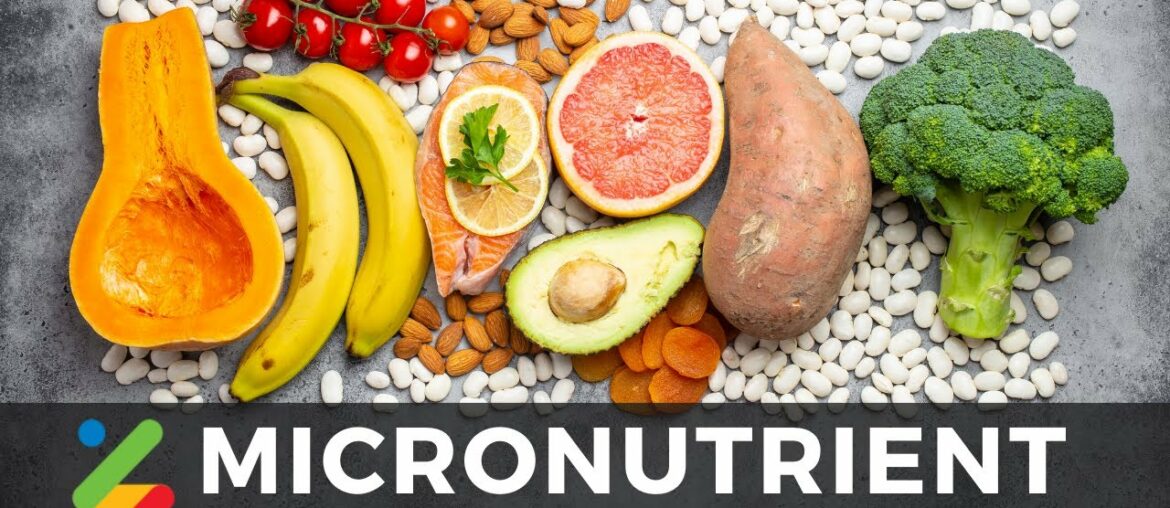 Micronutrients and The Immune System | Weekly Summary