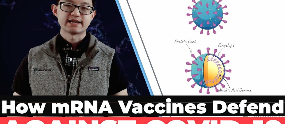 How mRNA Vaccines Defend Against COVID-19