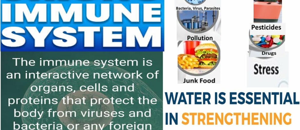 Make your Immune system Bullet proof Now. Ways to boost Immune system and prevent illness Naturally.