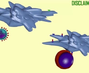 diverse roles of dendritic cells in coronavirus infections part 1