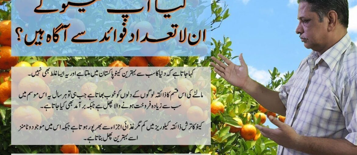 Benefits of Eating Oranges By Syed Afzal H