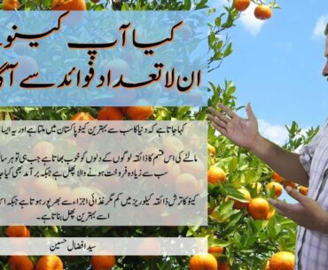 Benefits of Eating Oranges By Syed Afzal H