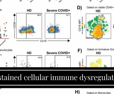 Sustained cellular immune dysregulation in individuals recovering from COVID-19