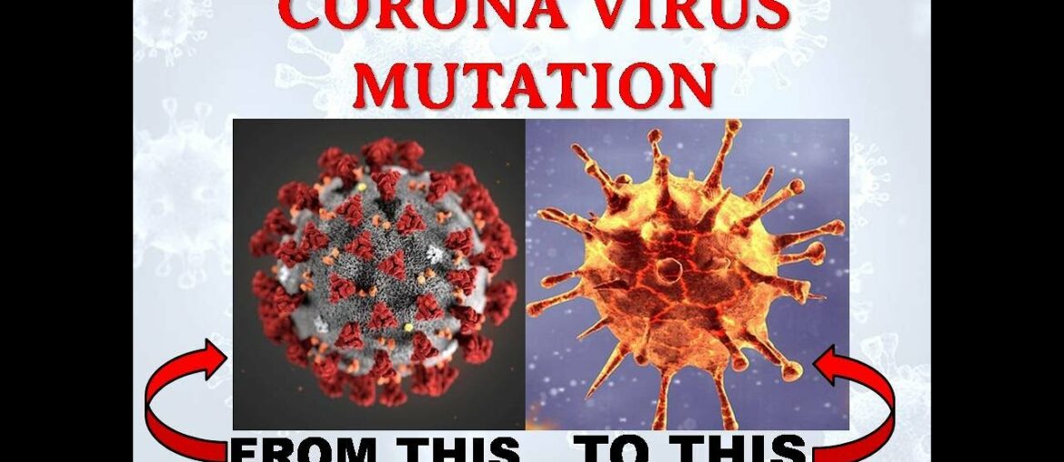 New UK strain B117 Corona Virus - What you need to know. The Virus Mutation Summary