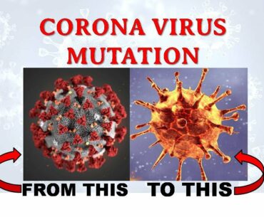 New UK strain B117 Corona Virus - What you need to know. The Virus Mutation Summary
