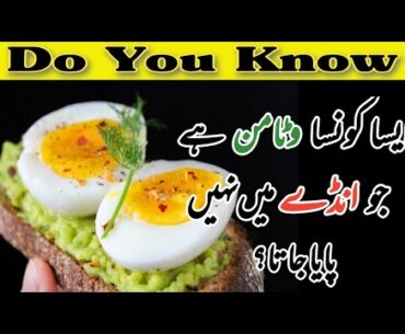Which Vitamin is Not Present in Egg? | Vitamins In Eggs in Urdu/Hindi | Egg Benefits | Egg Vitamins