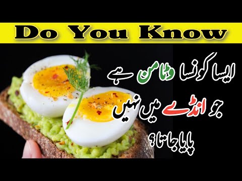 Which Vitamin is Not Present in Egg? | Vitamins In Eggs in Urdu/Hindi | Egg Benefits | Egg Vitamins