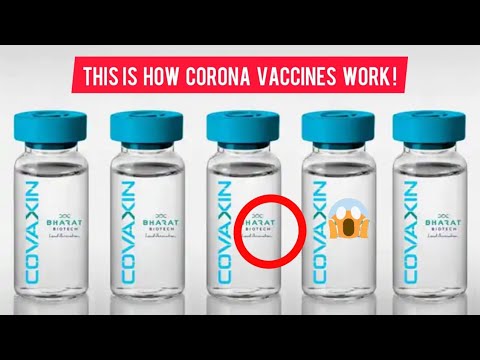 Corona virus vaccine details | This is how Covaxin and Covishield Work |