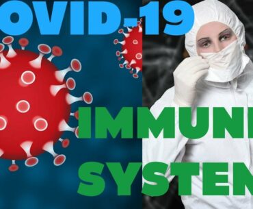 Covid-19 Immunization, Coronavirus, Vaccines, White Blood Cells,  B & L Lymphocytes & Macrophages.
